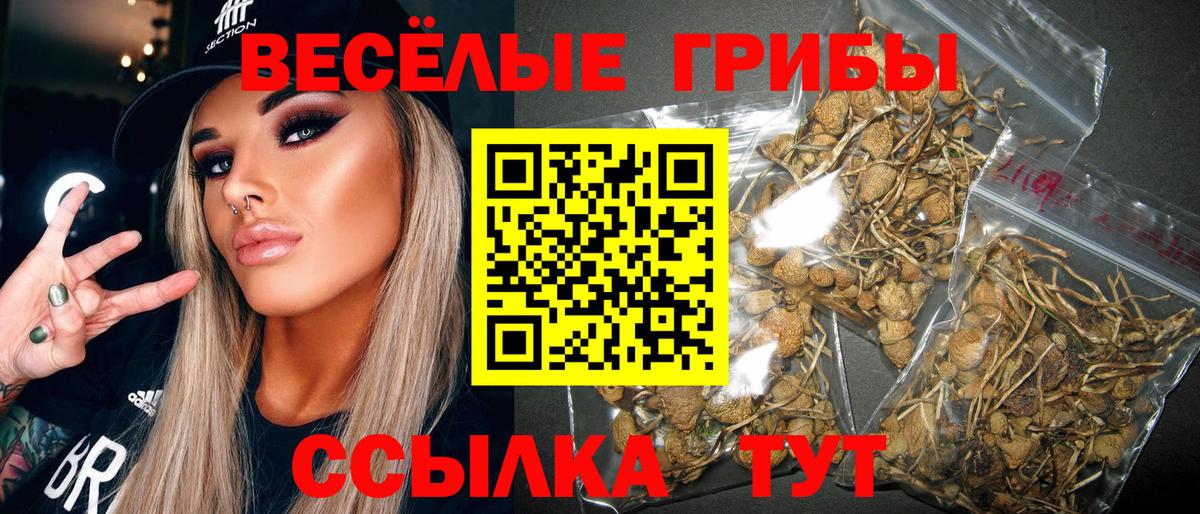 Псилоцибиновые грибы прущие грибы Нягань