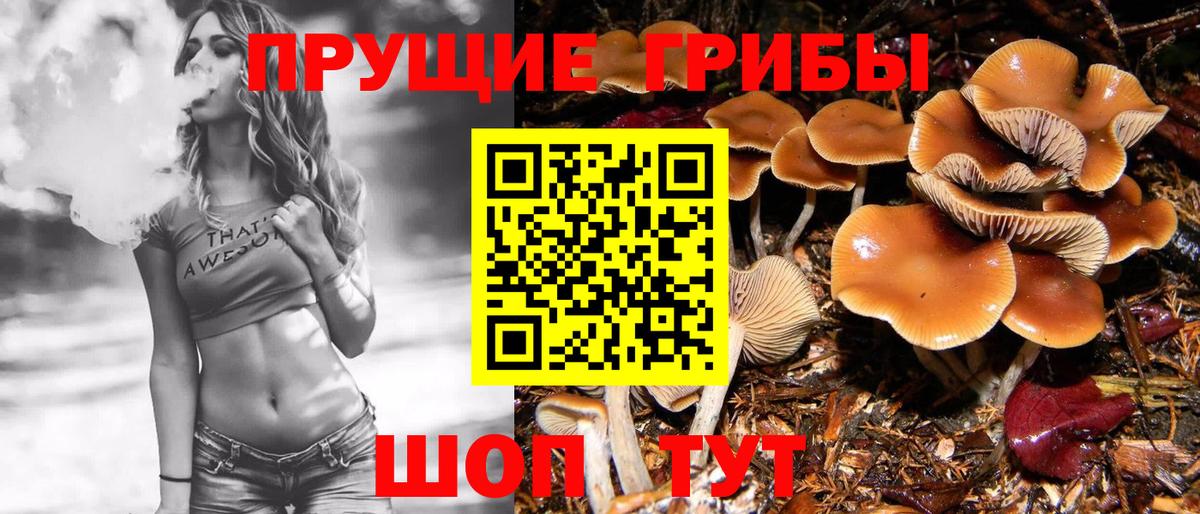 Нягань  Псилоцибиновые грибы мицелий  Вход с VPN 